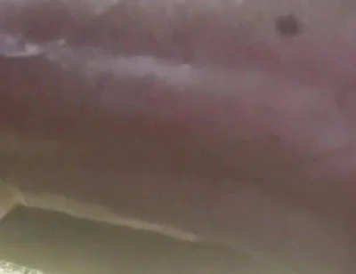 My Cock in a Vacuum