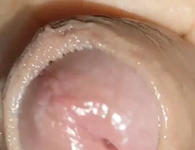 Growth Technique for Soft Cock Sold Out in 30 Seconds.