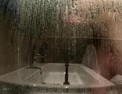 Come Take a Shower with Me and My Cock