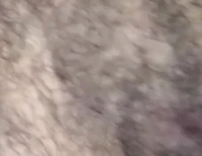 Some Fun Nipple Stuff for Titty Tuesday!