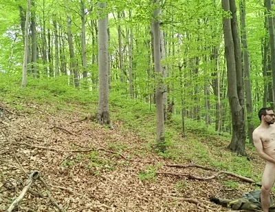 I Chase Him Through the Leaves