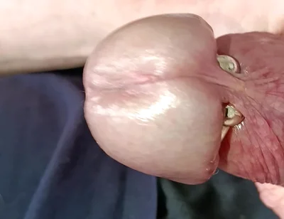Mature Man's Veined Cock Masturbation