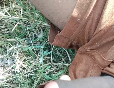 Desi Cock