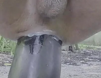 Extreme Pleasure