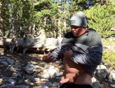 Cumpilation: the Early Years of Westcub86