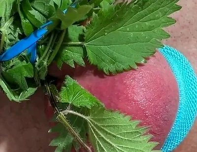 Cum with Nettles Inside Dick