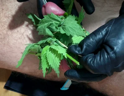 Cum with Nettles Inside Dick