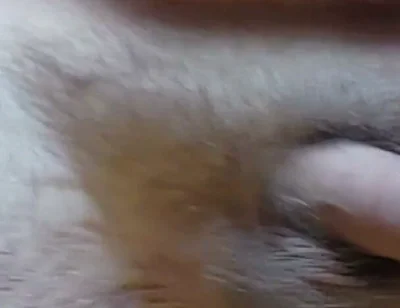 I'm Waving My Cock for You