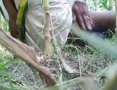 The Village Boy Went to the Cornfield and Hit Him Hard