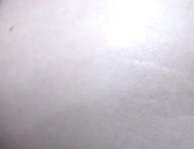 Stepdaddy Fucks Leo Fox