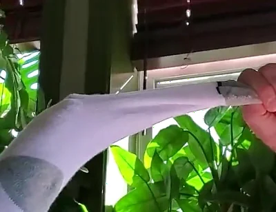 Bear Jerks off in White Sox with Some Help From BBC