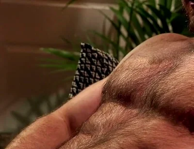 Breeding the Neighbor's Stepson