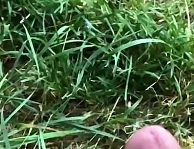 Enjoy This Slowmo. Tomorrow a Short BJ Clip Will Come:d