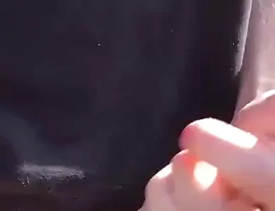 The Sunshine