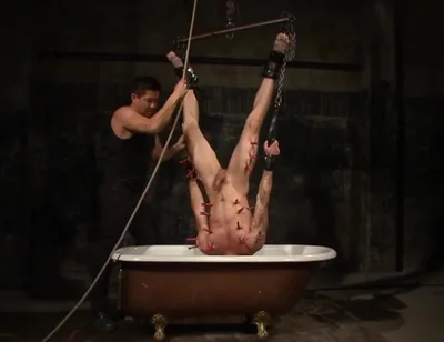 Tryp Hangs Inverted Over A Tub Of Cold Water