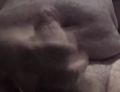 Handsome Mature Chubby with Big Fat Cock Masturbating Until I Cum a Lot in the Foreground for You Comments