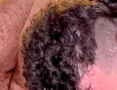 Hairy Men Fuck with No Mercy 1