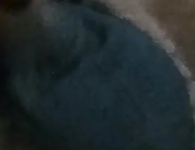 Who Wants My Dick?