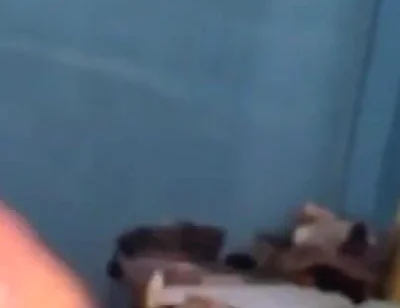 Haydenbbc Video