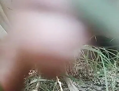 The Village Boy Went to the Cornfield and Hit Him Hard