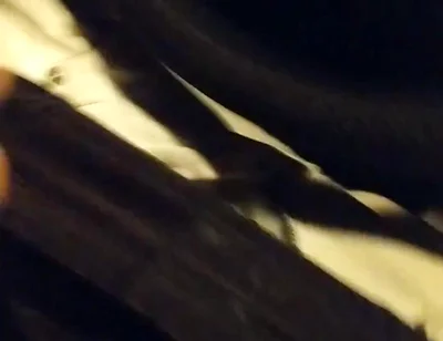 Solo in My Car