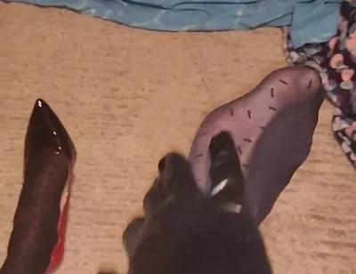 Teasing My Pattern Black Pantyhose