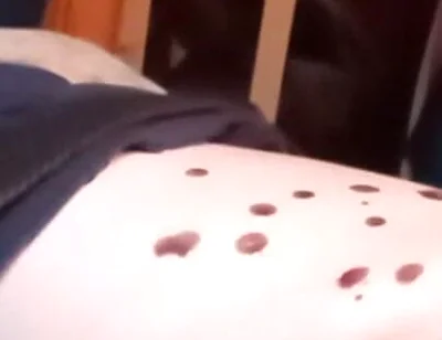 Bored Sub