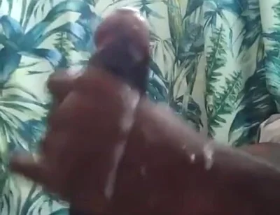 Play Time