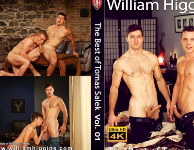 The Best of Tomas Salek Vol. 01
