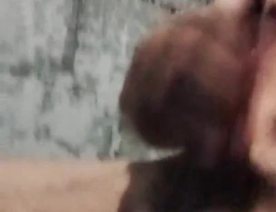 A Rare Sensation on the Cock