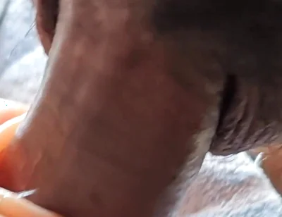 Extra Brazzers Boy Fucking the Sex Doll