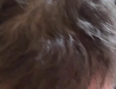 Sucking Asian Bear's Cock