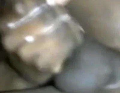 Stroking My BBC Fingering My Arsehole Cumming Hard