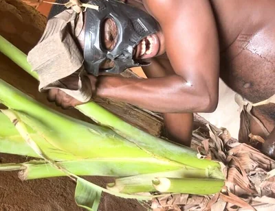 African Jujujar Bangcum