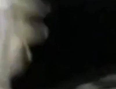 Closeup Stroking My Big Black Cock