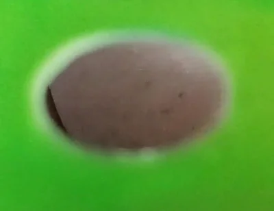 You Can See My Ass Through the Holes in the Green Screen
