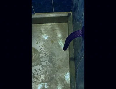 Back in the Shower, Playing with My Anus Again...