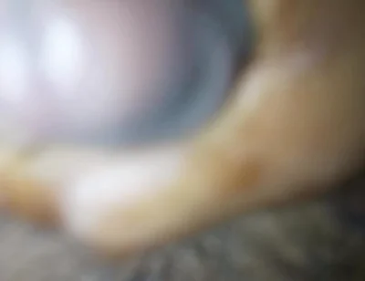 New Video