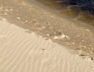 Beach Walk
