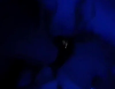 Blue Romance, Blowjob From a Sensual Blonde