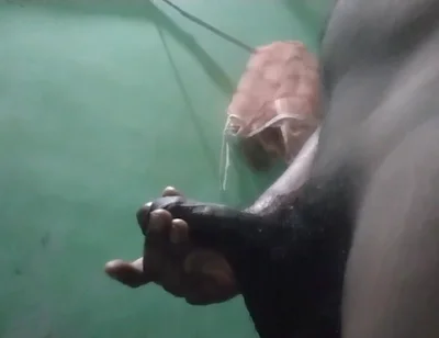 Bangladeshi Gay Sex Real Story Beanglii