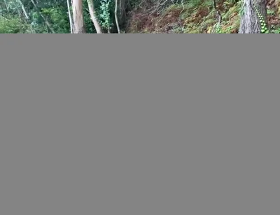 Over 1 Hour of Gay Sex Compilation