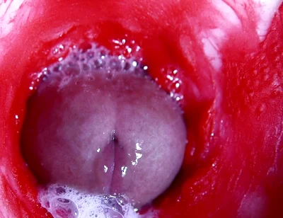 Hot Wet Sexy Hole and Sloppy Big Cock