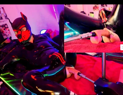 Doggy Rubber Show