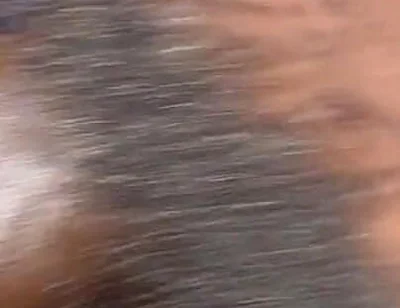 Femboy Fuck Big Pussy Cream