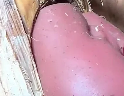 The Prisoner Find Hard Way to Sex