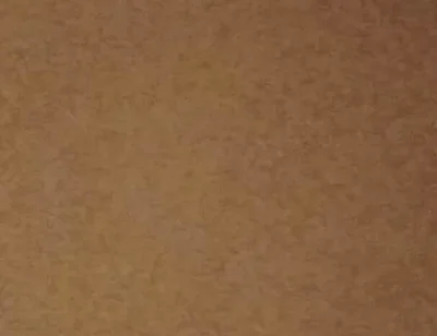 Lets Have Cum Together