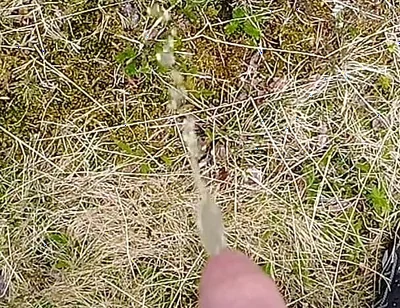 Pissing up in the Mountains