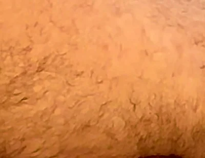 Broken Bear Fuck