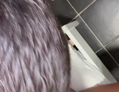 Fucked by the Black Cock
